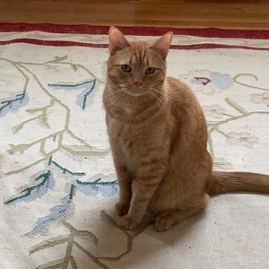 Meet your Posher, Michele